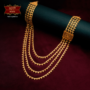 Stylish Gold Plated Box lahari with Earrings